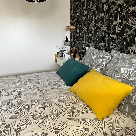 2 Pieces Lumineux Avec Terrasse